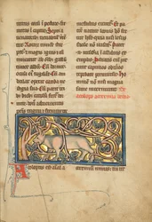 Eine Antilope mit in einem Busch verfangenen Hörnern